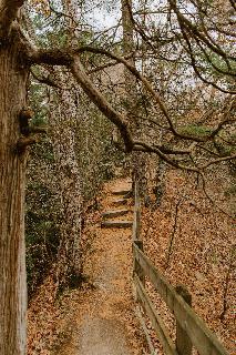 Trail in the woods