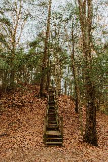 Stairs in the woods