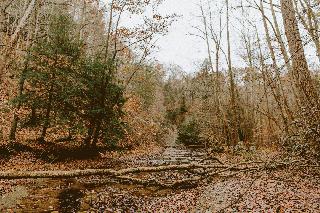 Stream in the Fall