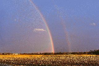 Rainbow - Southern Montgomery County